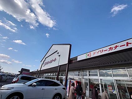 デイリーカナート新家店 1100ｍ(徒歩14分)