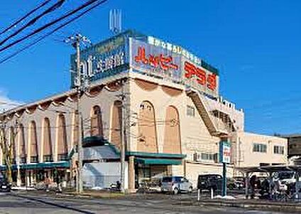 ハッピーテラダ大津唐崎店 1600ｍ(徒歩20分)