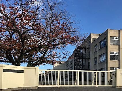羽曳野市立河原城中学校 1500ｍ(徒歩19分)