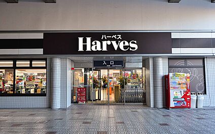 ハーベス大久保店 1100ｍ(徒歩14分)