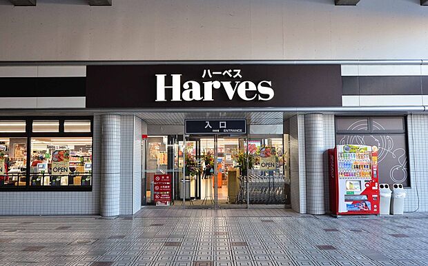 ハーベス大久保店（約1,100m）
