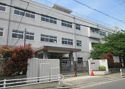 高石市立清高小学校 610ｍ(徒歩8分)