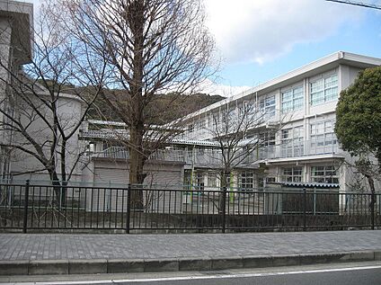 八幡市立八幡小学校 430ｍ(徒歩6分)