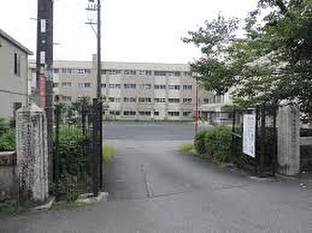 大津市立坂本小学校(約1,200m)