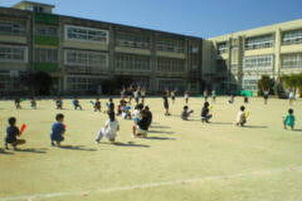 和歌山市立高松小学校（約1,200m）