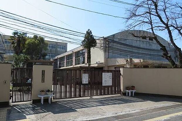 京都市立大淀中学校(約3,000m)