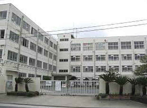 高槻市立城南中学校（約800m）