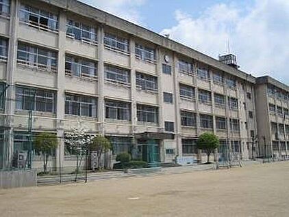八尾市立久宝寺中学校 1100ｍ(徒歩14分)