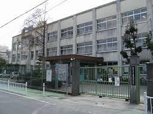 藤井寺市立藤井寺中学校(約890m)