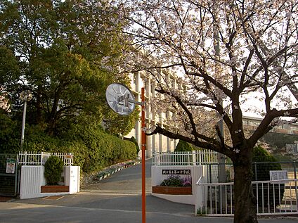 枚方市立第四中学校 1000ｍ(徒歩13分)