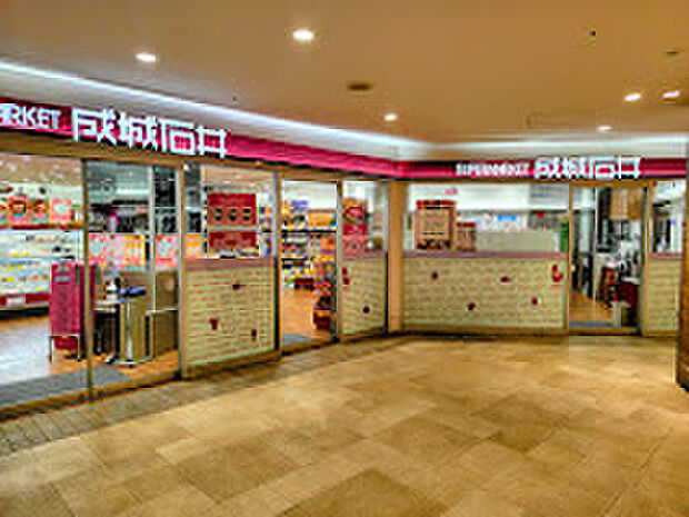 成城石井堺東店(約536m)