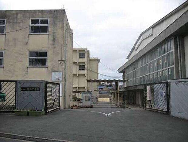 宇治市立宇治中学校(約650m)