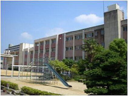 八尾市立志紀小学校 380ｍ(徒歩5分)