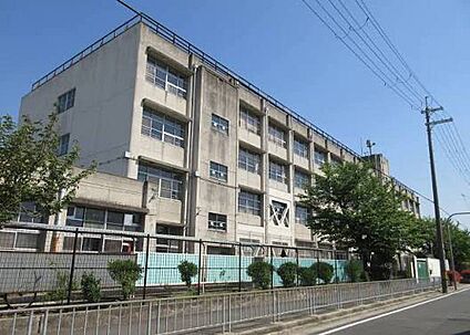 東大阪市立加納小学校 190ｍ(徒歩3分)