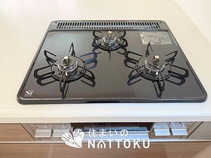 浄水器内臓ハンドシャワー付シンク