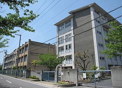 堺市立月州中学校 950ｍ(徒歩12分)