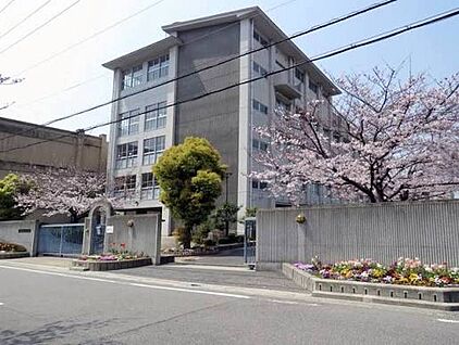 堺市立月州中学校 960ｍ(徒歩12分)