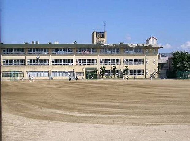 河内長野市立長野小学校(約500m)