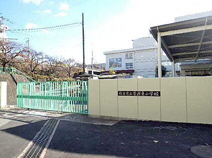枚方市立菅原東小学校 1300ｍ(徒歩17分)