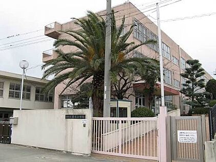 堺市立平尾小学校 750ｍ(徒歩10分)