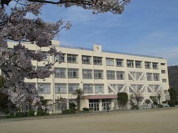 八尾市立曙川東小学校（約590m）