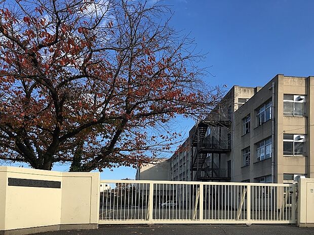 羽曳野市立河原城中学校(約2,300m)