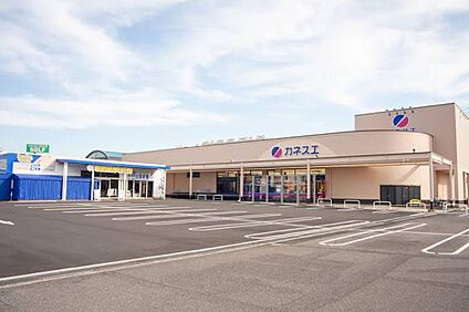 カネスエ守山店 1100ｍ(徒歩14分)