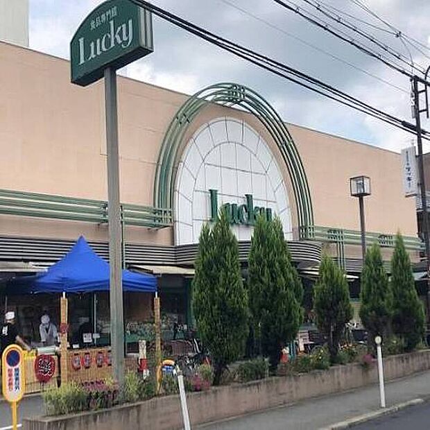 ラッキー交野店(約500m)