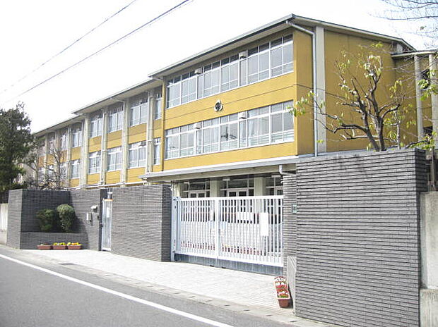 京都市立桂徳小学校（約850m）