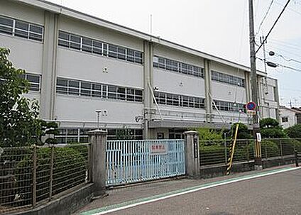 藤井寺市立藤井寺南小学校 210ｍ(徒歩3分)