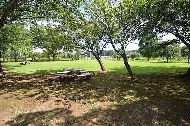 北柏ふるさと公園(約1,600m)