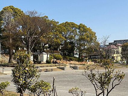 小金公園 625m(徒歩8分)