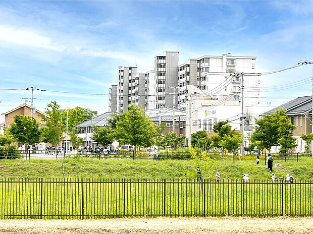 ありんこ公園(木1号公園)(約1m)