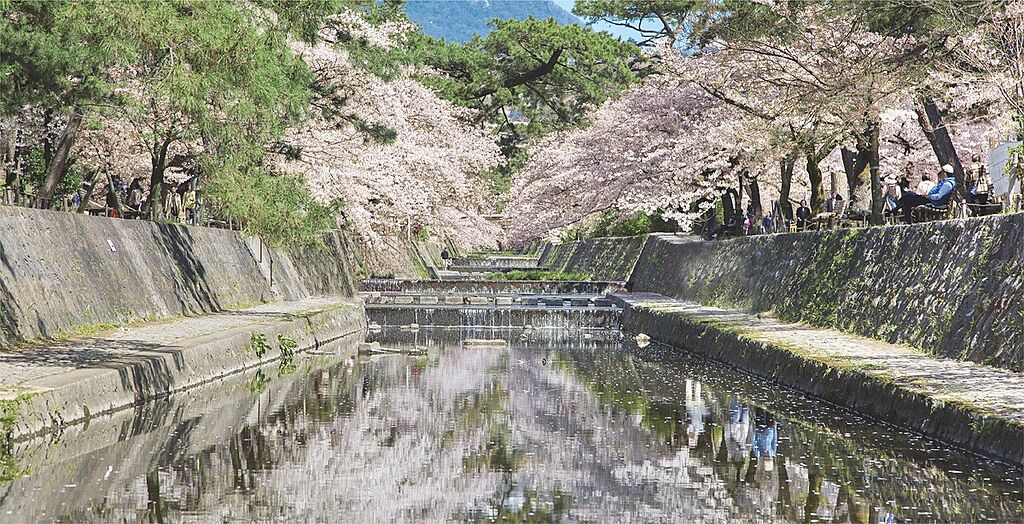 【その他】夙川公園