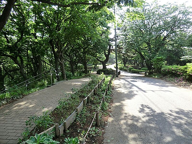 【レジャー】横浜市役所 環境創造局 神の木公園