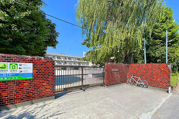 真間小学校(現地より徒歩11分)