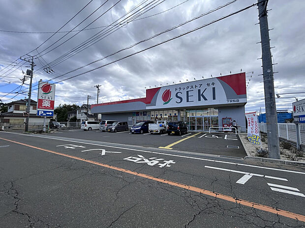 ドラッグストアセキ下安松店（約220m）