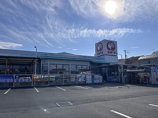 コメリハード＆グリーン豊田店（約530m）