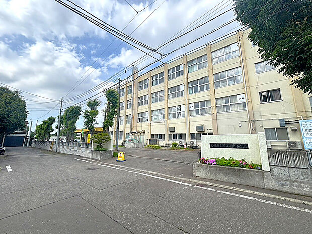 琴似中央小学校(約400m)