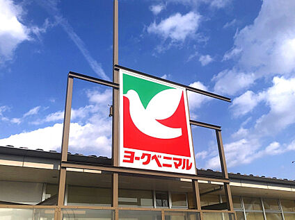ヨークベニマルコスモス通り店 460m