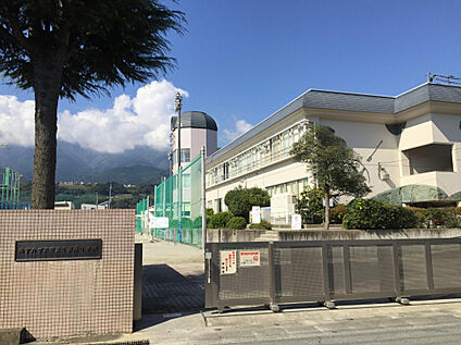 小笠原小学校 551m