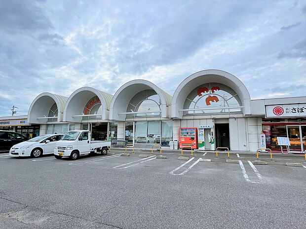 メグリアミニ加茂川店（約266m）