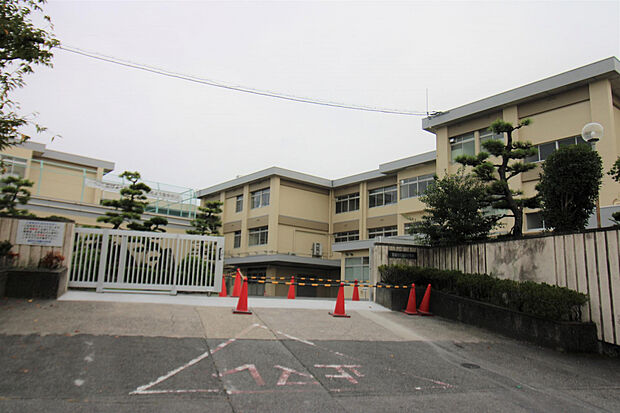 若園中学校（約1,008m）