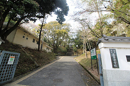 市立若草中学校 482m