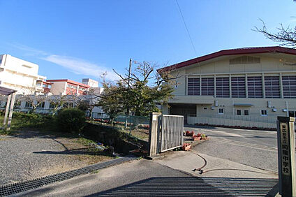 向陽中学校 1900m