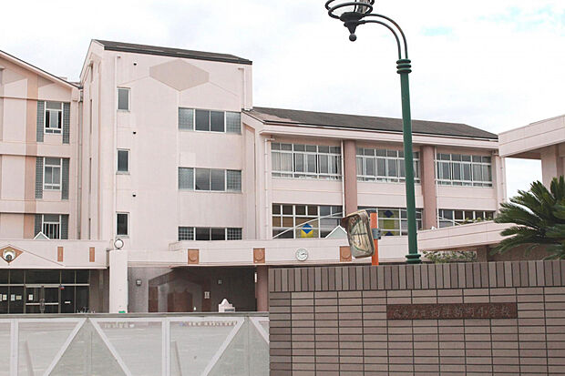 向洋新町小学校（約500m）