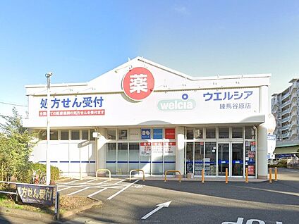 ウエルシア練馬谷原店 700m