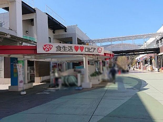 ロピア ふじみ野店（約2,000m・徒歩25分）