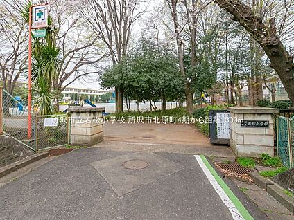 所沢市立若松小学校 1300m