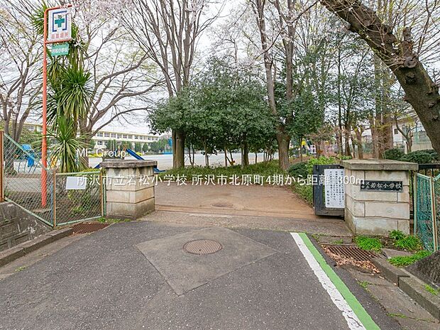 所沢市立若松小学校（約1,300m）